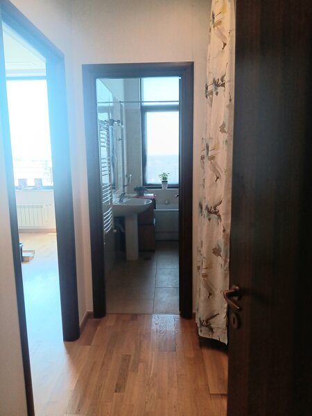 Aleea Privighetorilor, Baneasa,